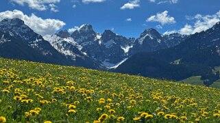 Rossinière - Rougemont, Pays d'Enhaut Rando 2025