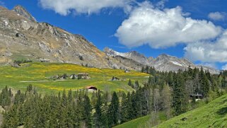 Rossinière - Rougemont, Pays d'Enhaut Rando 2025