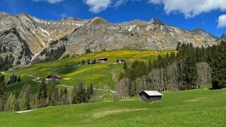 Rossinière - Rougemont, Pays d'Enhaut Rando 2025