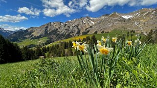 Rossinière - Rougemont, Pays d'Enhaut Rando 2025