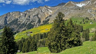 Rossinière - Rougemont, Pays d'Enhaut Rando 2025