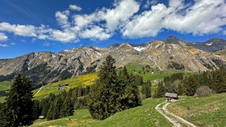 Rossinière - Rougemont, Pays d'Enhaut Rando 2025