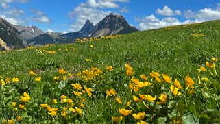 Rossinière - Rougemont, Pays d'Enhaut Rando 2025