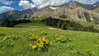 Rossinière - Rougemont, Pays d'Enhaut Rando 2025