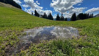 Rossinière - Rougemont, Pays d'Enhaut Rando 2025