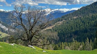 Rossinière - Rougemont, Pays d'Enhaut Rando 2025