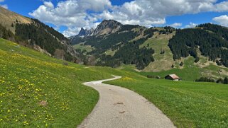 Rossinière - Rougemont, Pays d'Enhaut Rando 2025