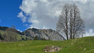 Rossinière - Rougemont, Pays d'Enhaut Rando 2025