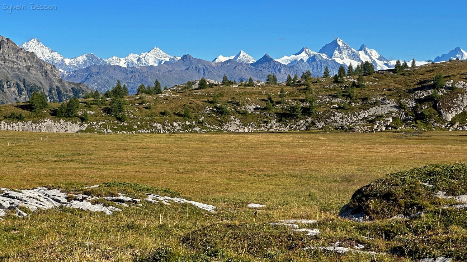 Col du Sanetsch - Tour Saint-Martin Rando 2025