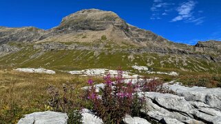 Col du Sanetsch - Tour Saint-Martin Rando 2025