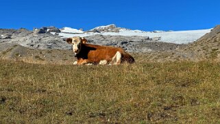 Col du Sanetsch - Tour Saint-Martin Rando 2025