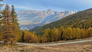 Visperterminen Rando 2025