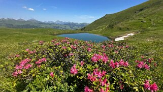 Champéry - Lac d'Antème null