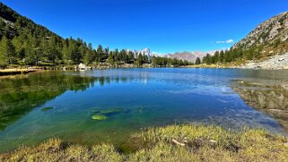 Lac d'Arpy null