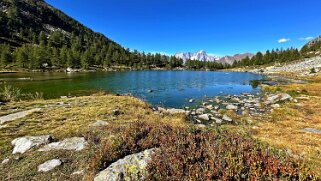 Lac d'Arpy null