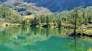 Lac d'Arpy null