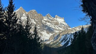 Bovonne - La Motte null