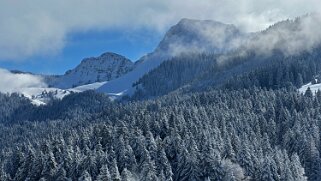 Tour de Corbetta null