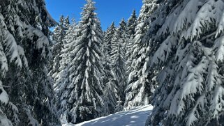 Tour de Corbetta null