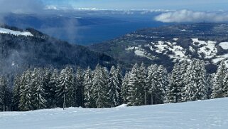 Tour de Corbetta null