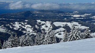 Tour de Corbetta null