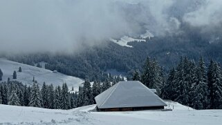 Tour de Corbetta null