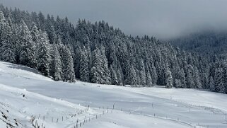 Tour de Corbetta null