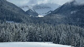 Tour de Corbetta null