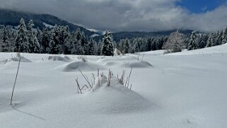 Tour de Corbetta null