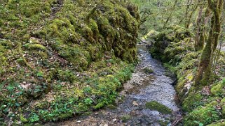 Bief de Vautenaivre null