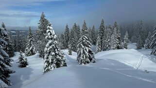 Col du Marchairuz - Cunay null