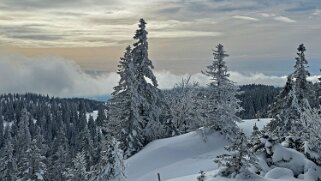 Col du Marchairuz - Cunay null
