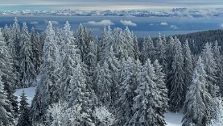 Col du Marchairuz - Cunay null