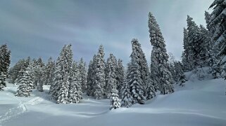 Col du Marchairuz - Cunay null