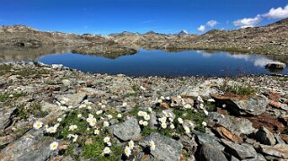 Lac Vert 2610 m null