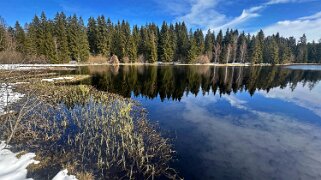 Etang de la Gruère 964 m null