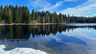 Etang de la Gruère 964 m null