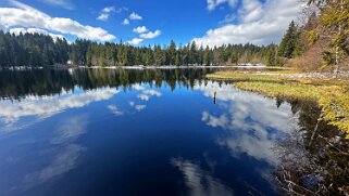 Etang de la Gruère 964 m null