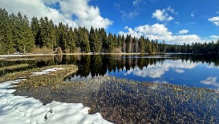 Etang de la Gruère 964 m null