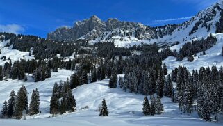 Petit-Mont - Gastlosen 2124 m null