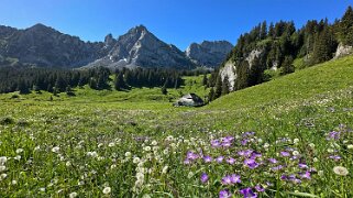 Grand Tour des Gastlosen et de la Dent de Savigny null