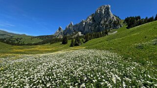 Les Pucelles 2109 m - Corne Aubert 2037 m null