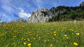 Grand Tour des Gastlosen et de la Dent de Savigny null