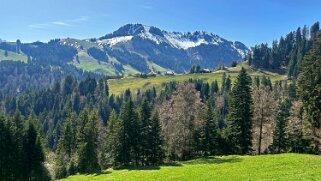 Sentier des fromageries - Gruyères null