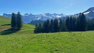 Sentier des fromageries - Gruyères null