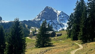 Sentier des fromageries - Gruyères null