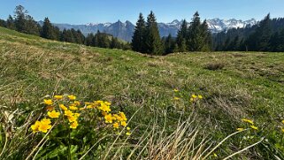 Sentier des fromageries - Gruyères null