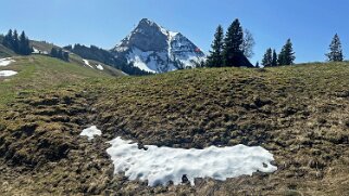 Sentier des fromageries - Gruyères null