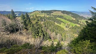 Sentier des fromageries - Gruyères null