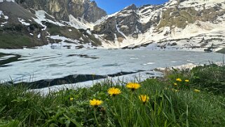 Lac Lioson 1848 m null